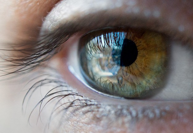My Wife Michele's Eye - Nex-7 @ 30mm Macro lens @ f/4, 1/250sec,, ISO 1600, Handheld, Slight adjustments in made Lightroom My Wife Michele's Eye - Nex-7 @ 30mm Macro lens @ f/4, 1/250sec,, ISO 1600, Handheld, Slight adjustments in made Lightroom