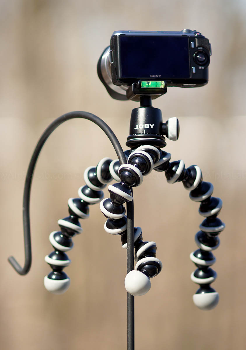 Joby Gorrillapod SLR-Zoom w/ Ballhead and Nex Camera and Lens