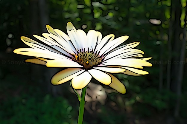 Sony RX100 - Sample Photo - Illustration Mode - High Sony RX100 - Sample Photo - Illustration Mode - High