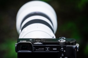 A6000 w/ E-mount 70-200mm f/4 OSS G Lens