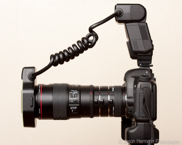 Ultimate Macro Camera Set-Up