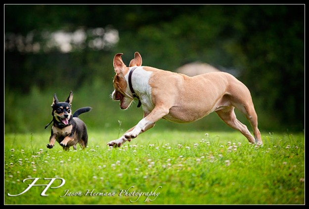 Action - Sadie and Brody