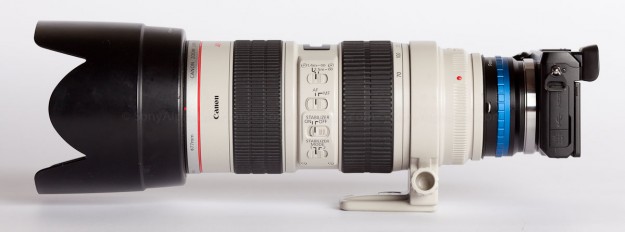 Nex-7 w/ Canon 70-200mm Lens