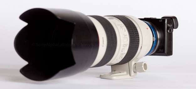 Nex-7 w/ Canon 70-200mm Lens