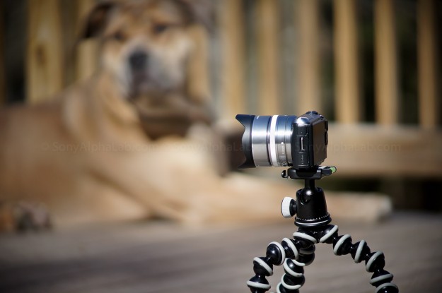 Sony Nex-C3 w/ 16mm f/2.8 Lens And 15mm Fisheye Conversion Lens