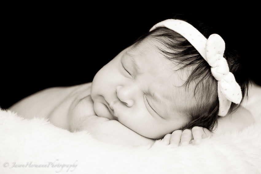 Newborn Portrait Photography and Set-up