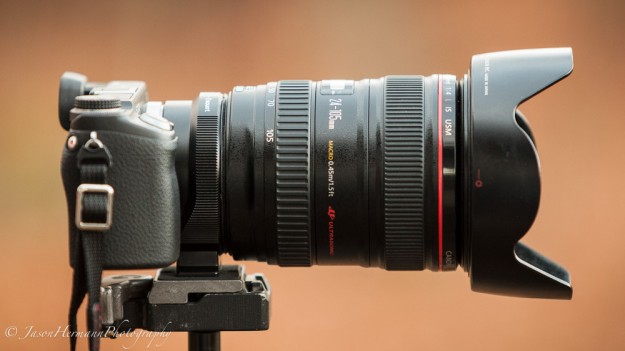 Nex-6, Metabones EF III, Canon 24-105mm f/4 L IS Lens