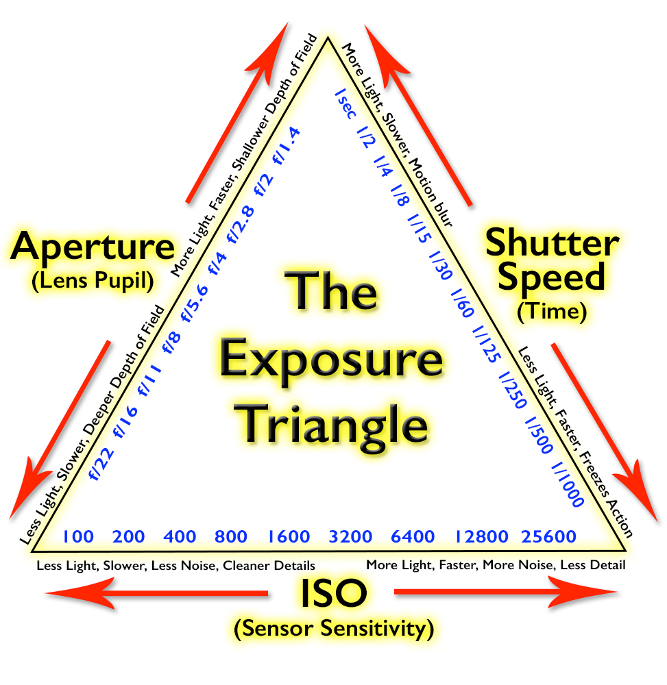 How To – Get the Correct Exposure With Your Digital Camera ...