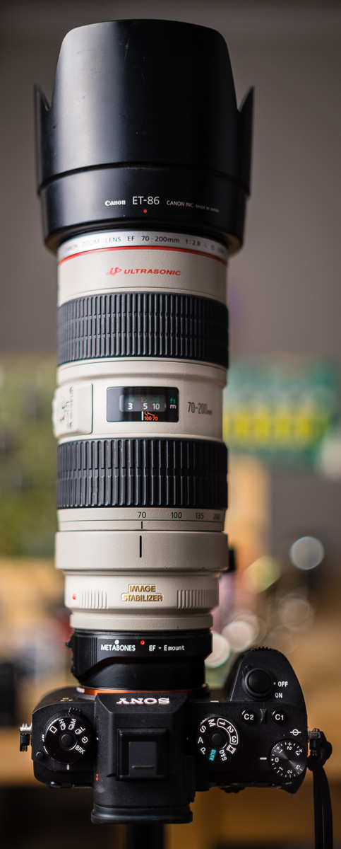Sony A9 w/ Canon EF 70-200mm f/2.8 L IS Lens