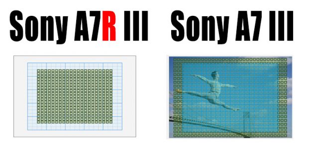 Sony a7r III vs a7 III AF Sensor Coverage