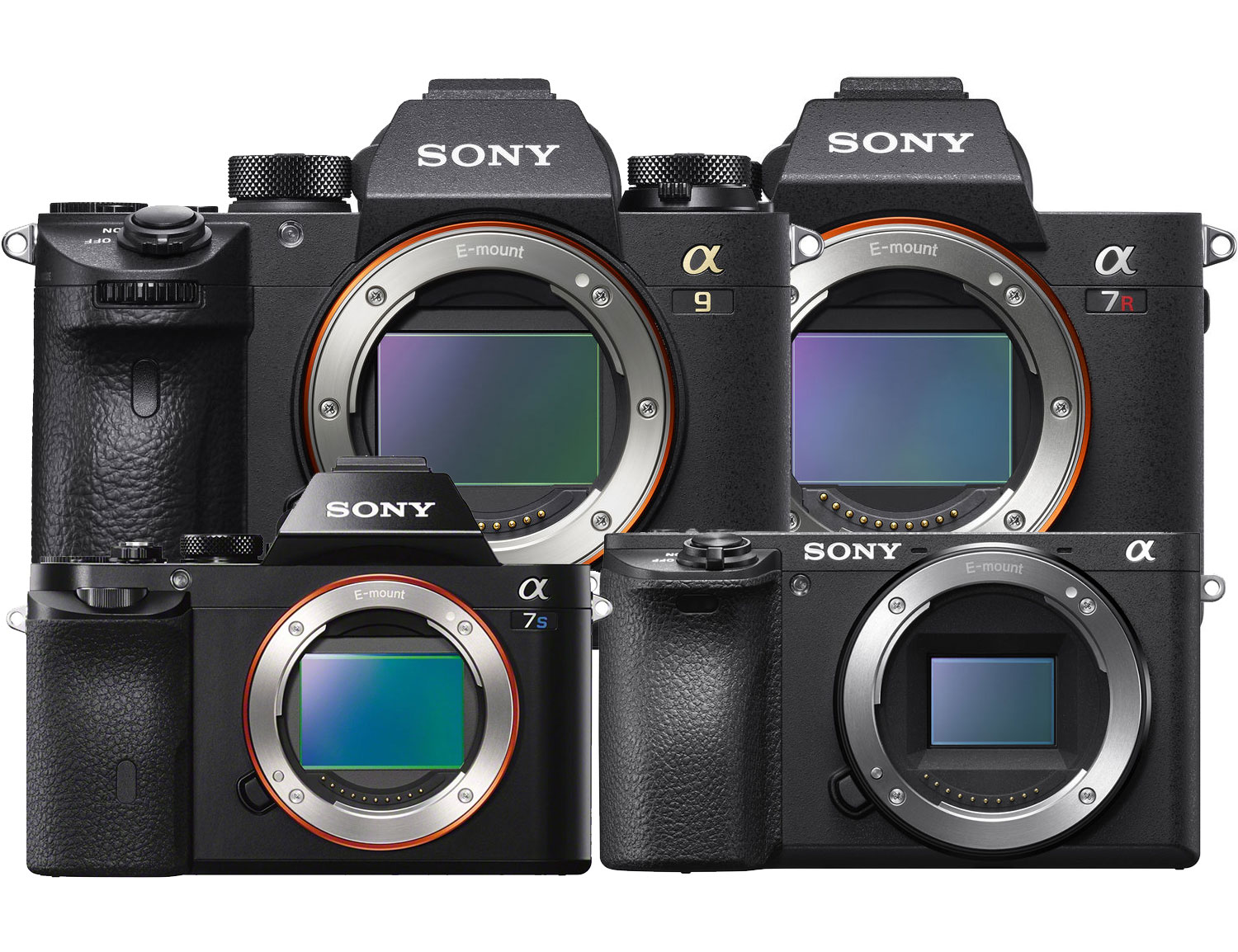 The Sony A6700 Review & Walkthrough: Latest APS-C Camera… - Moment