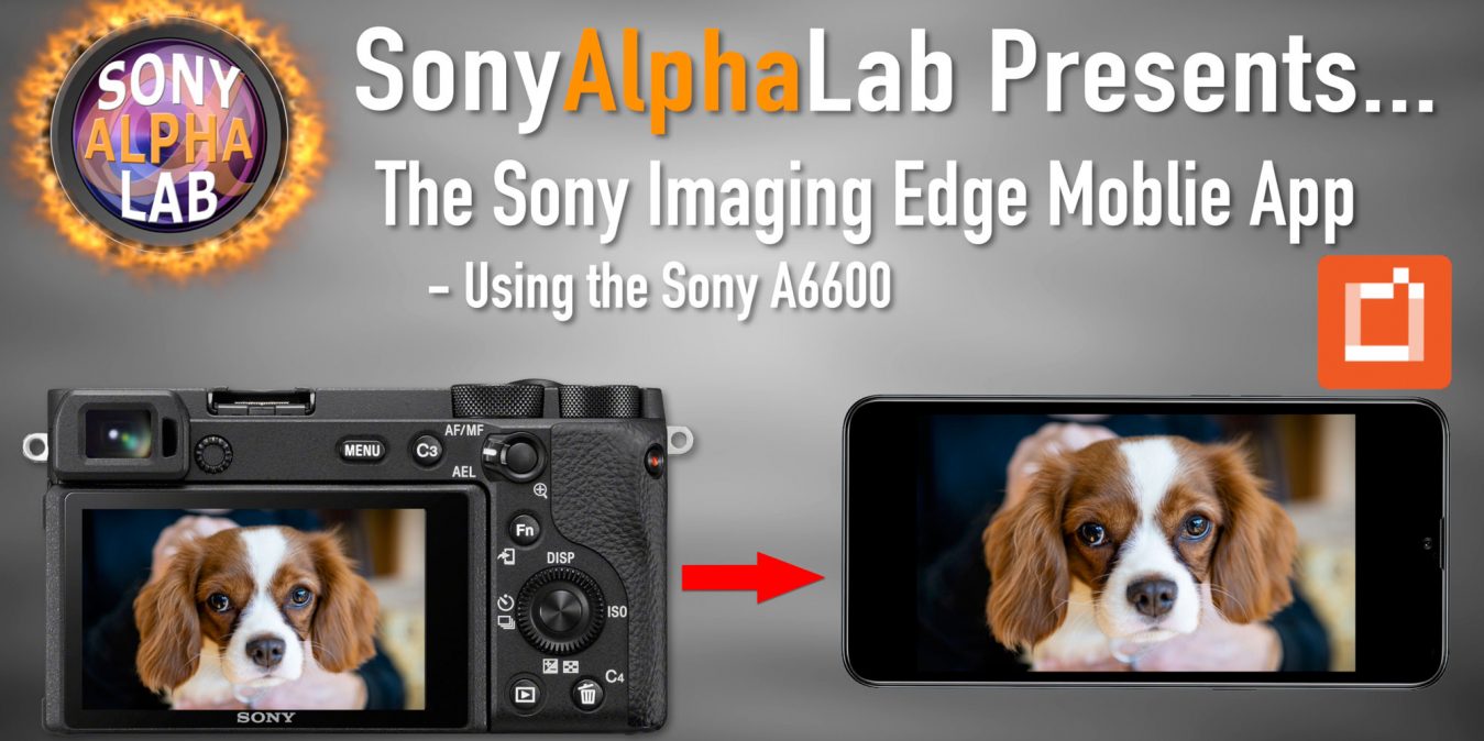 Sony Imaging Edge Mobile App Tutorial