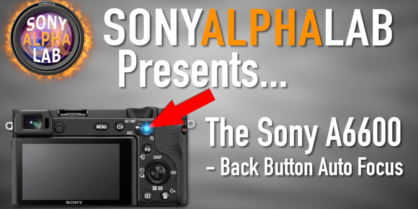 Sony A6600 Tutorial - Back Button Focus