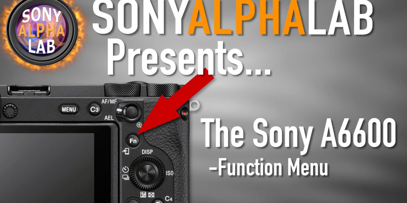 Sony A6600 and The Function Menu (Fn) - How To Use and Customize...