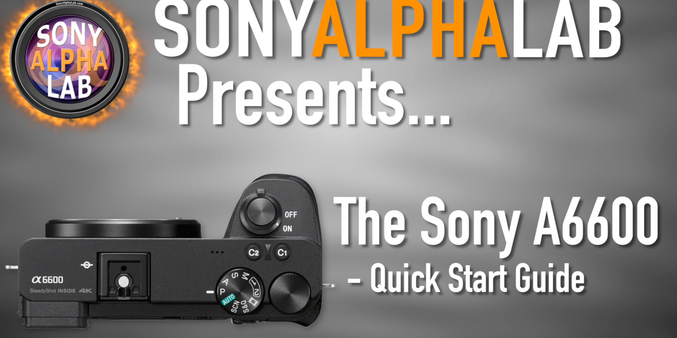 Sony A6600 - Quick Start Guide for Beginners - Skip the Manual...