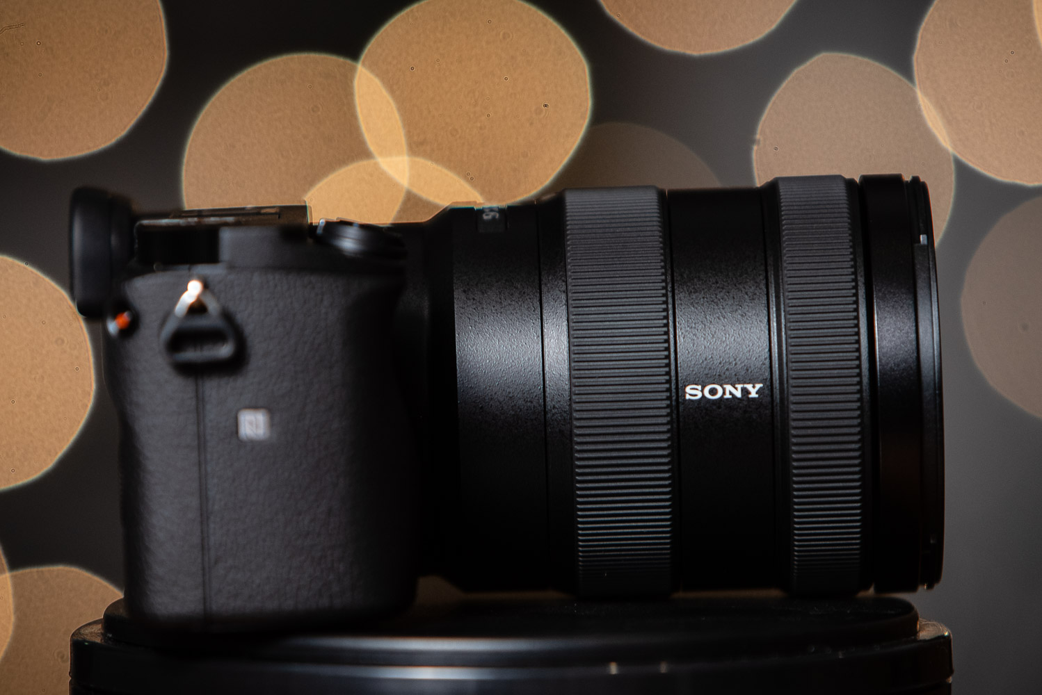 My Sony E 16-55mm F/2.8 G Lens Review – SonyAlphaLab